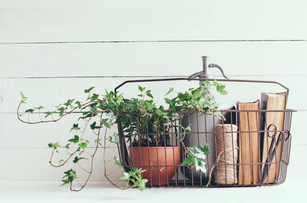 Siphon and books — Stock Photo, Image