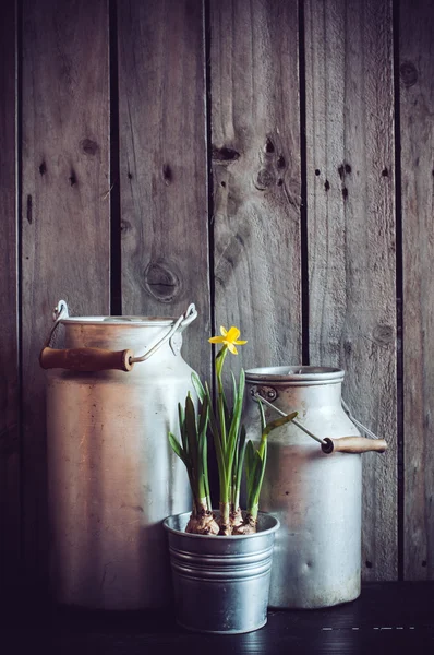 Jardinería rústica — Foto de Stock