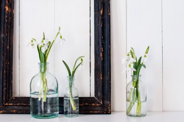 Beyaz bahar çiçekleri