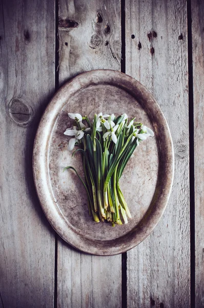 Ramo de flores de primavera — Foto de Stock