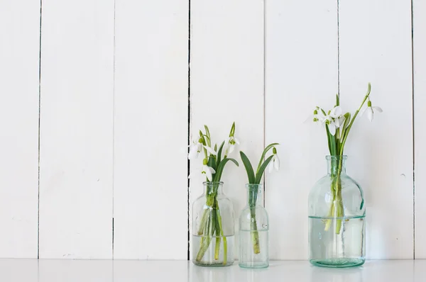 Flores de primavera —  Fotos de Stock