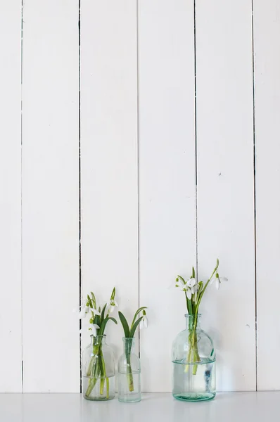 Spring flowers — Stock Photo, Image