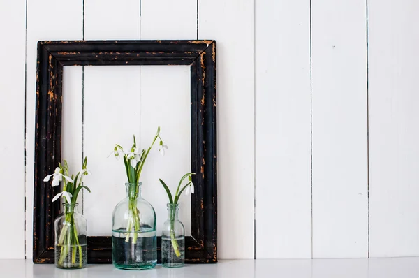 Fiori bianchi di primavera — Foto Stock