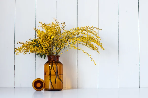 Mimosa spring flowers — Stock Photo, Image