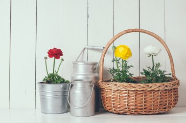 buttercups