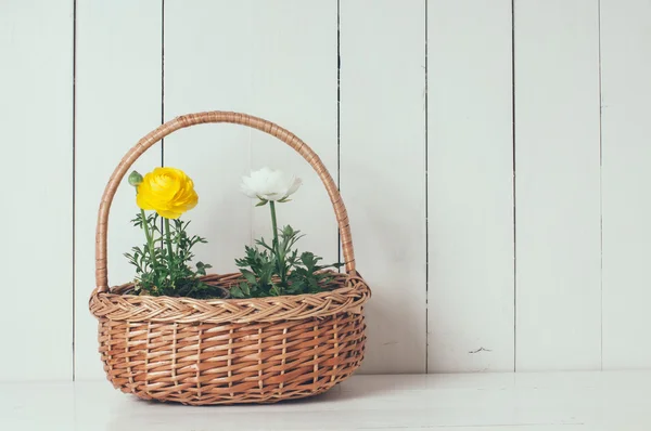 Smörblommor — Stockfoto