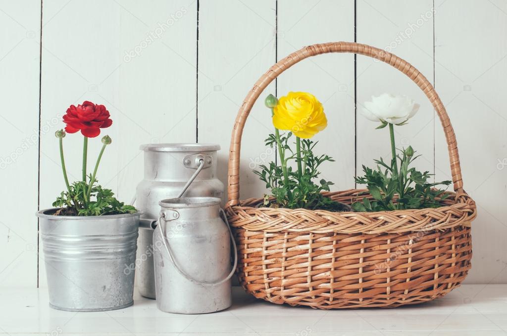 Buttercups Stock Photo by ©manera 69261511