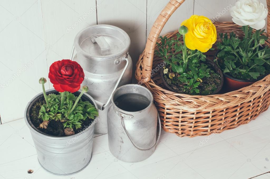 Buttercups Stock Photo by ©manera 69261653