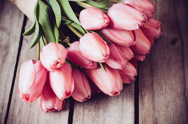 Frische rosa Tulpen im Frühling — Stockfoto