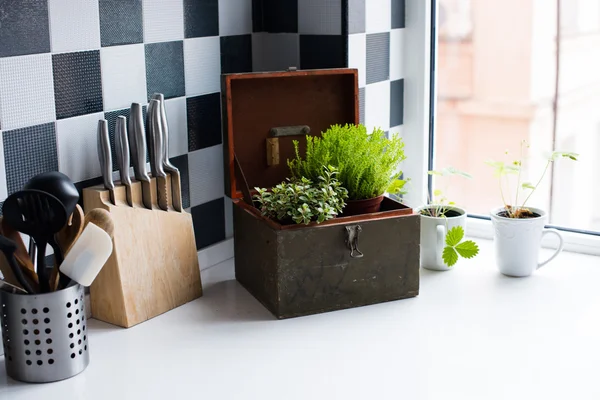 Kitchen utensils — Stock Photo, Image