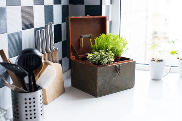 Kitchen utensils — Stock Photo, Image