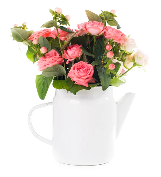 Pink roses — Stock Photo, Image