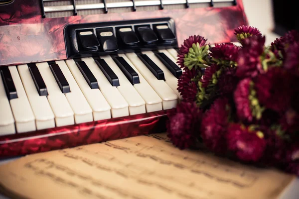 Accordion keys — Stock Photo, Image