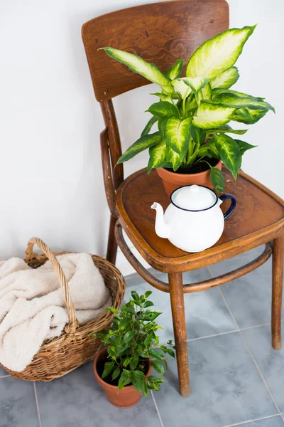 Decor for summer balcony — Stock Photo, Image