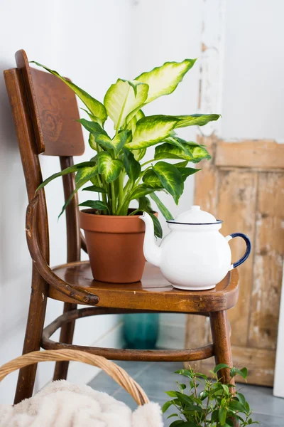 Décor pour balcon d'été — Photo