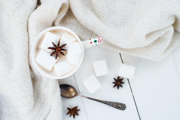 Cocoa with marshmallow and star anise — Stockfoto