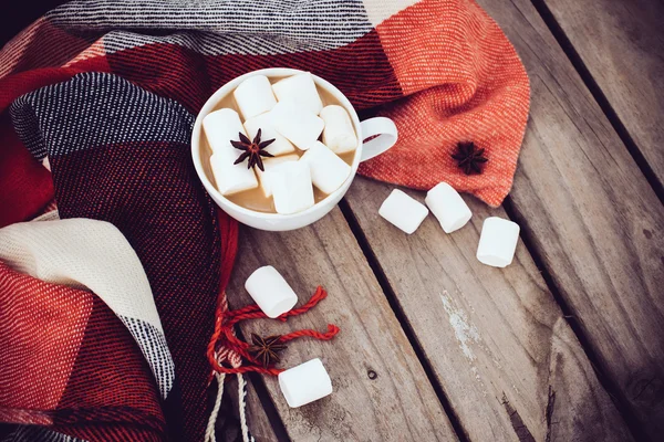 Taza de cacao y tartán caliente — Foto de Stock