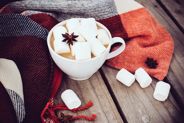 Csésze kakaót és meleg takaró — Stock Fotó