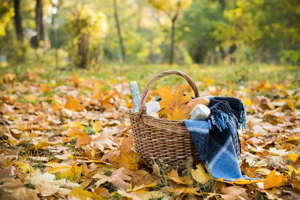 Pique-nique d'automne dans le parc — Photo