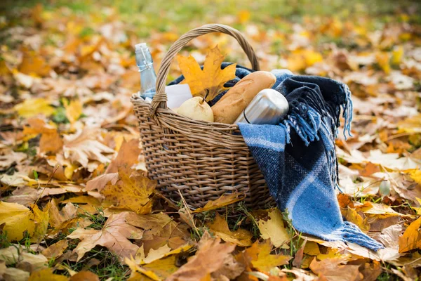 Pique-nique d'automne dans le parc — Photo