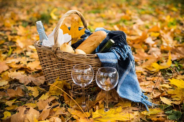 Accogliente picnic autunnale — Foto Stock