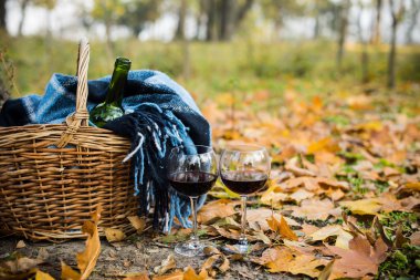 Sepet bir battaniye, şarap ve gözlük