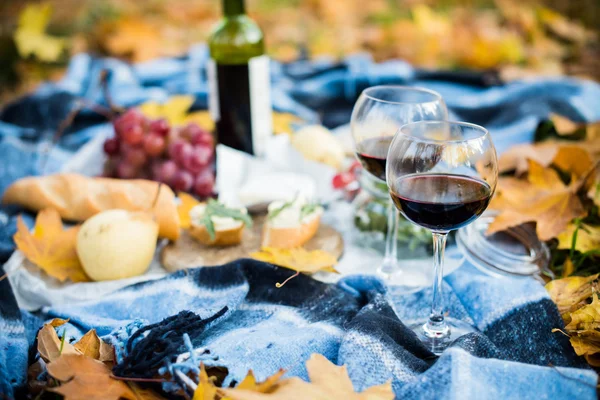 Acogedor picnic de otoño —  Fotos de Stock