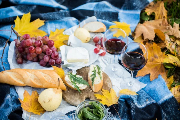 Accogliente picnic autunnale — Foto Stock