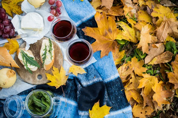 cozy autumn picnic