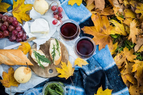 Acogedor picnic de otoño —  Fotos de Stock