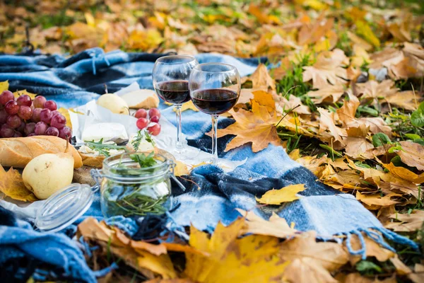 Accogliente picnic autunnale — Foto Stock