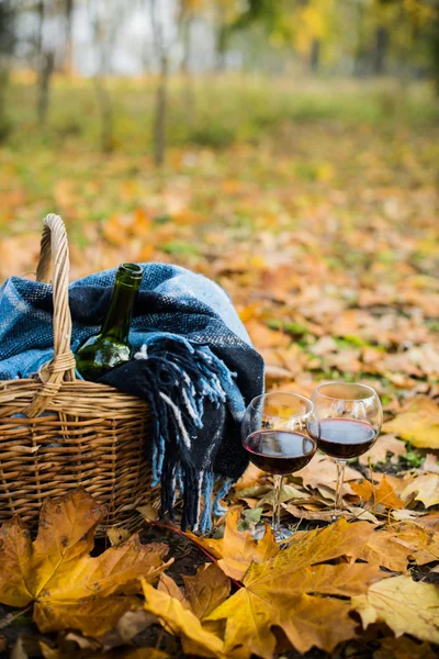 Cesto con coperta, vino e bicchieri — Foto Stock