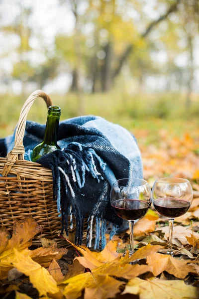 Cesto con coperta, vino e bicchieri — Foto Stock