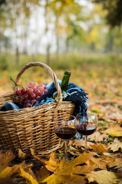 Vino, uva e bicchieri — Foto Stock