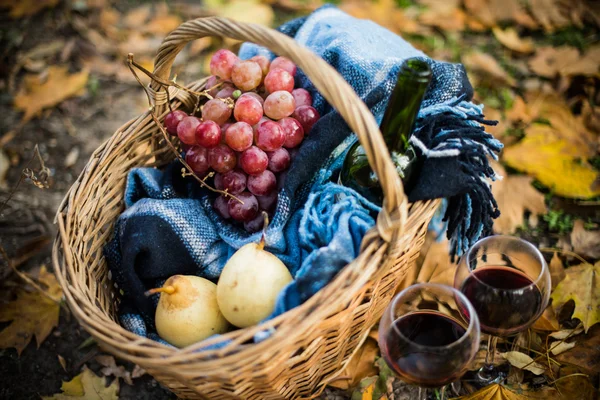 Vino, uva e bicchieri — Foto Stock