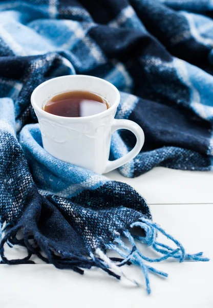 Sıcak çay ve bir mavi kareli ekose — Stok fotoğraf