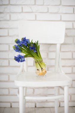 Vazodaki mavi sümbül