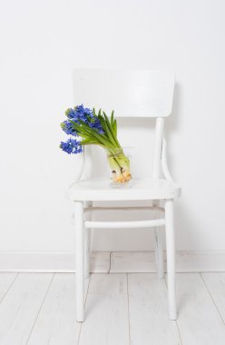 Vazodaki mavi sümbül