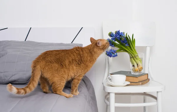 Yatak odasının içini kapatın.