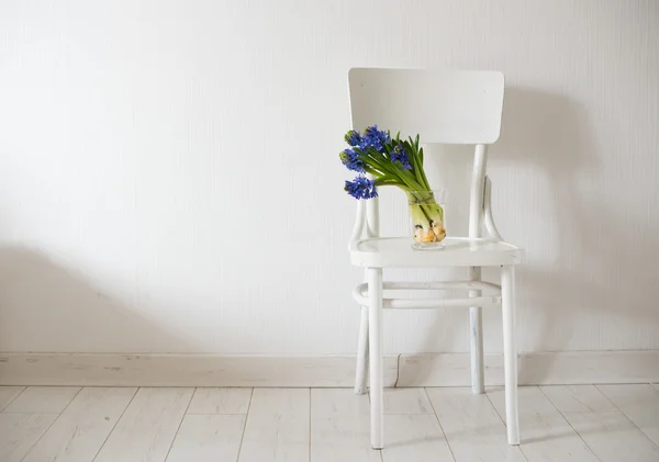 blue hyacinth in a vase