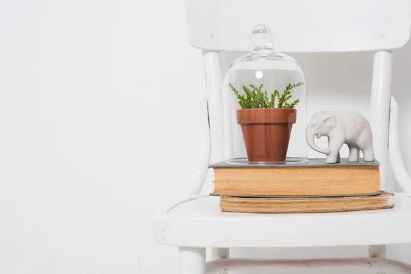 Decoração de casa elegante — Fotografia de Stock