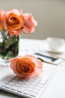 Kadının modern çalışma alanı