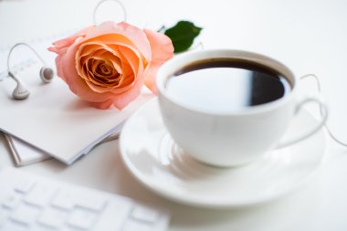 Kadının modern çalışma alanı