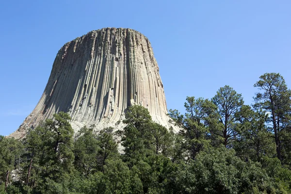 Devils Tower Wyoming Foto Stock Royalty Free