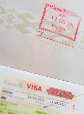 pasaportta damga