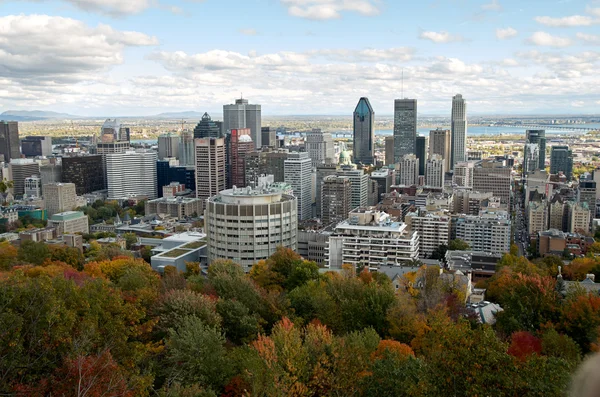 Montreal midt på høsten . – stockfoto