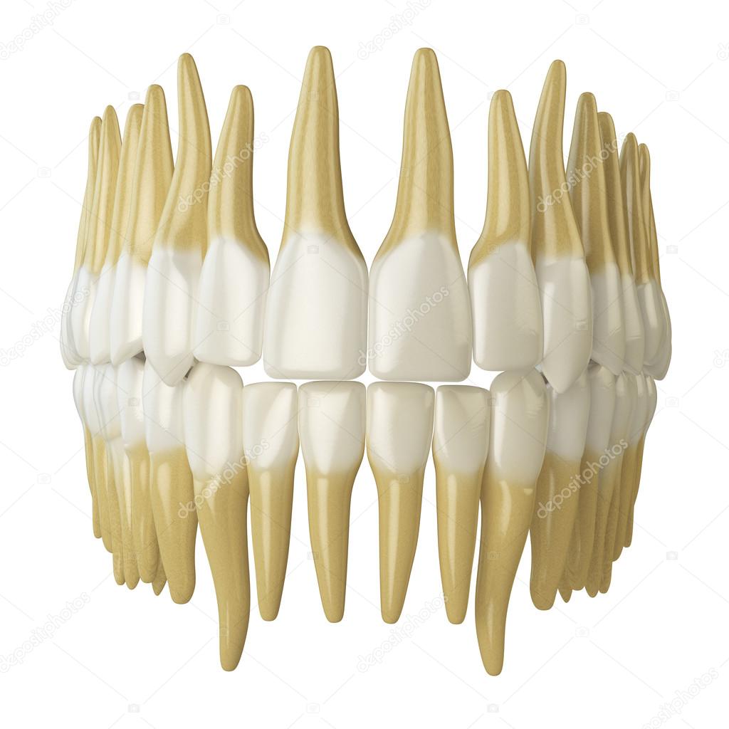 Fondo de pantalla de dental fotos de stock, imágenes de Fondo de pantalla  de dental sin royalties | Depositphotos