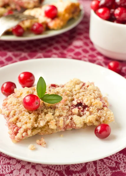 Barras de migalhas de cranberry — Fotografia de Stock