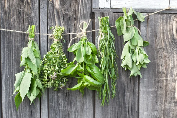 Herbes sécher et accrocher — Photo