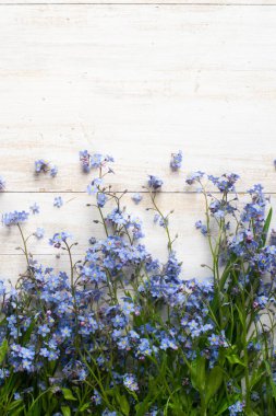 Beyaz ahşap arka planda 